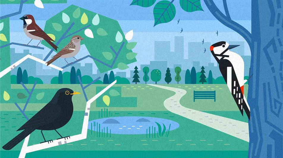 Birds in Greenspaces